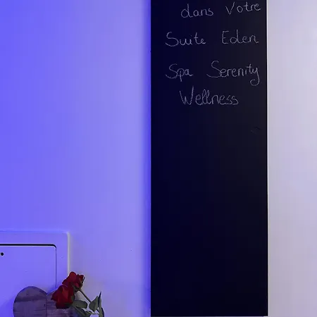 Eden Spa, Bien Etre , Patio De Standing Barbecue - Tv Xl Cinesport, Lit Q-size, Wifi, P-gratuit En Avion