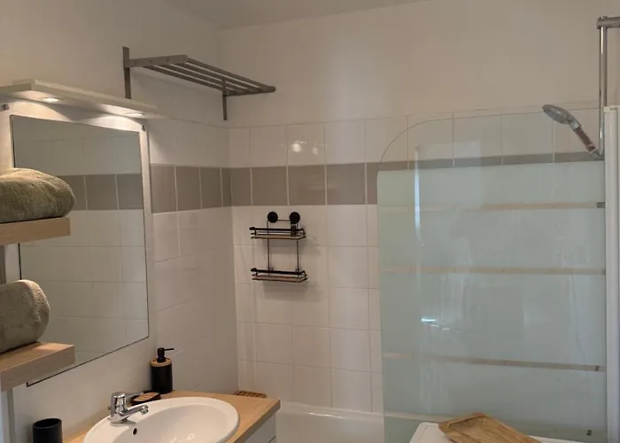 Eden Spa, Bien , Patio De Standing Barbecue - Tv Xl Cinésport, Lit Q-size, Wifi, P-gratuit En Résidence Avion