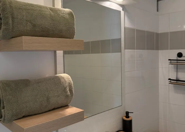 Eden Spa, Bien , Patio De Standing Barbecue - Tv Xl Cinésport, Lit Q-size, Wifi, P-gratuit En Résidence