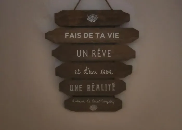 Eden Spa, Bien Etre , Patio De Standing Barbecue - Tv Xl Cinesport, Lit Q-size, Wifi, P-gratuit En 4*