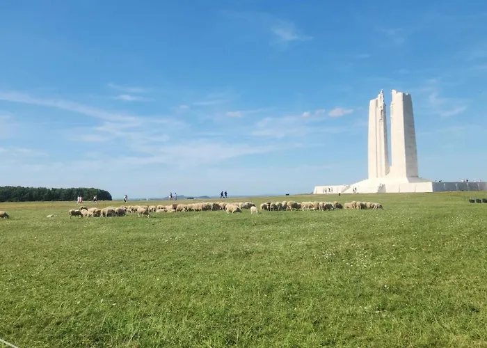 Eden Spa, Bien , Patio De Standing Barbecue - Tv Xl Cinésport, Lit Q-size, Wifi, P-gratuit En Résidence Avion